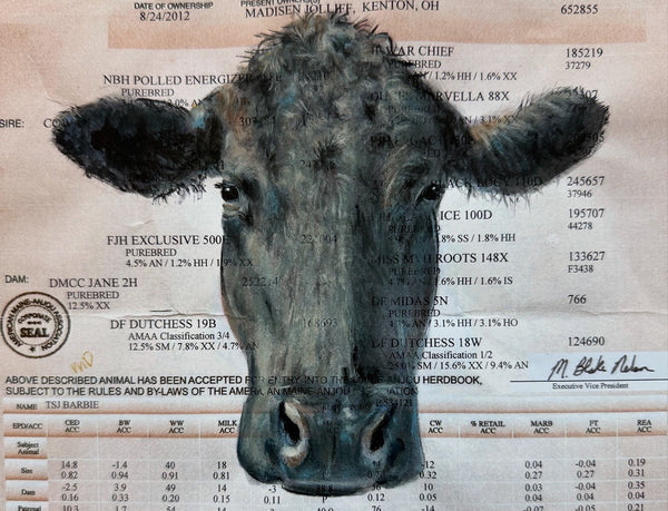 Cattle/ Show Cow Registration Portrait