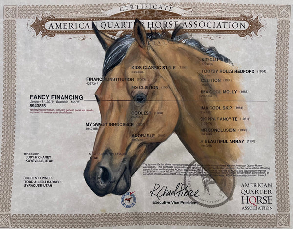 Horse Registration Paper Painting Deposit