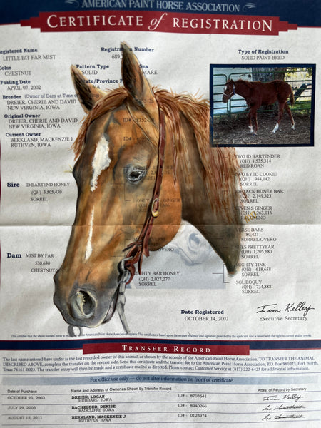 Horse Registration Paper Painting Deposit