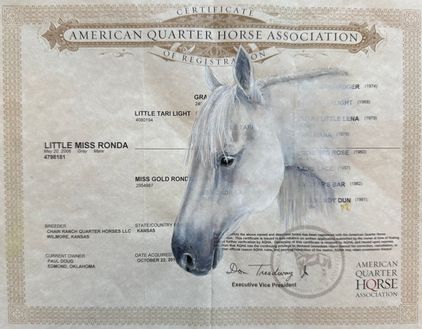 Horse Registration Paper Painting Deposit