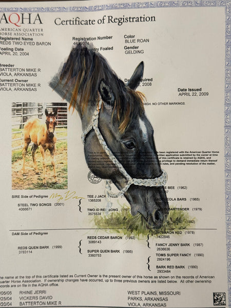 Horse Registration Paper Painting Deposit