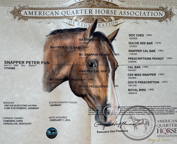 Horse Registration Paper Painting Deposit