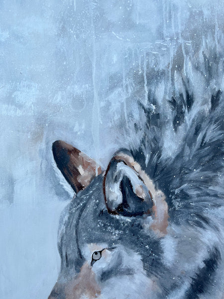 Winter Wolf