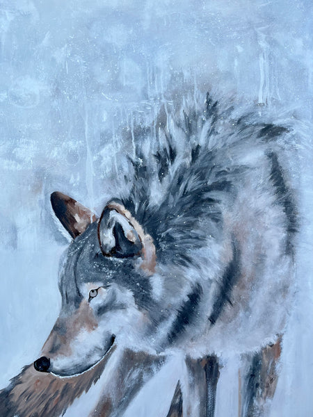 Winter Wolf