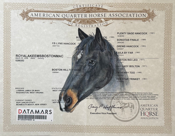 Horse Registration Paper Painting Deposit