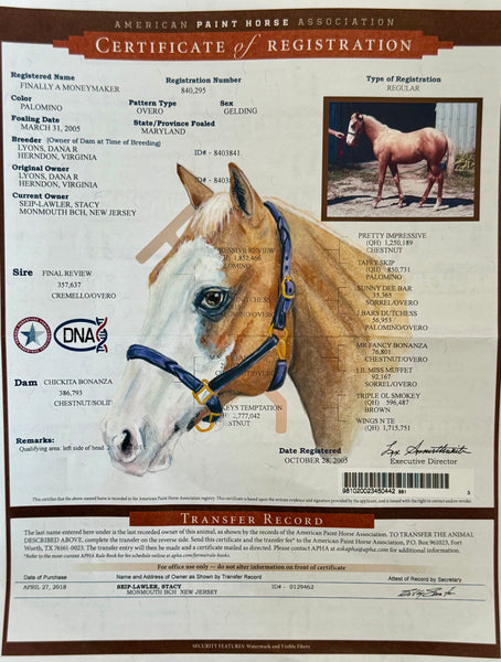 Horse Registration Paper Painting Deposit