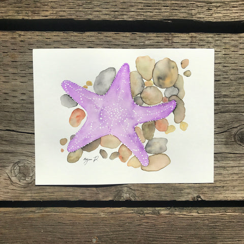 Ochre Starfish