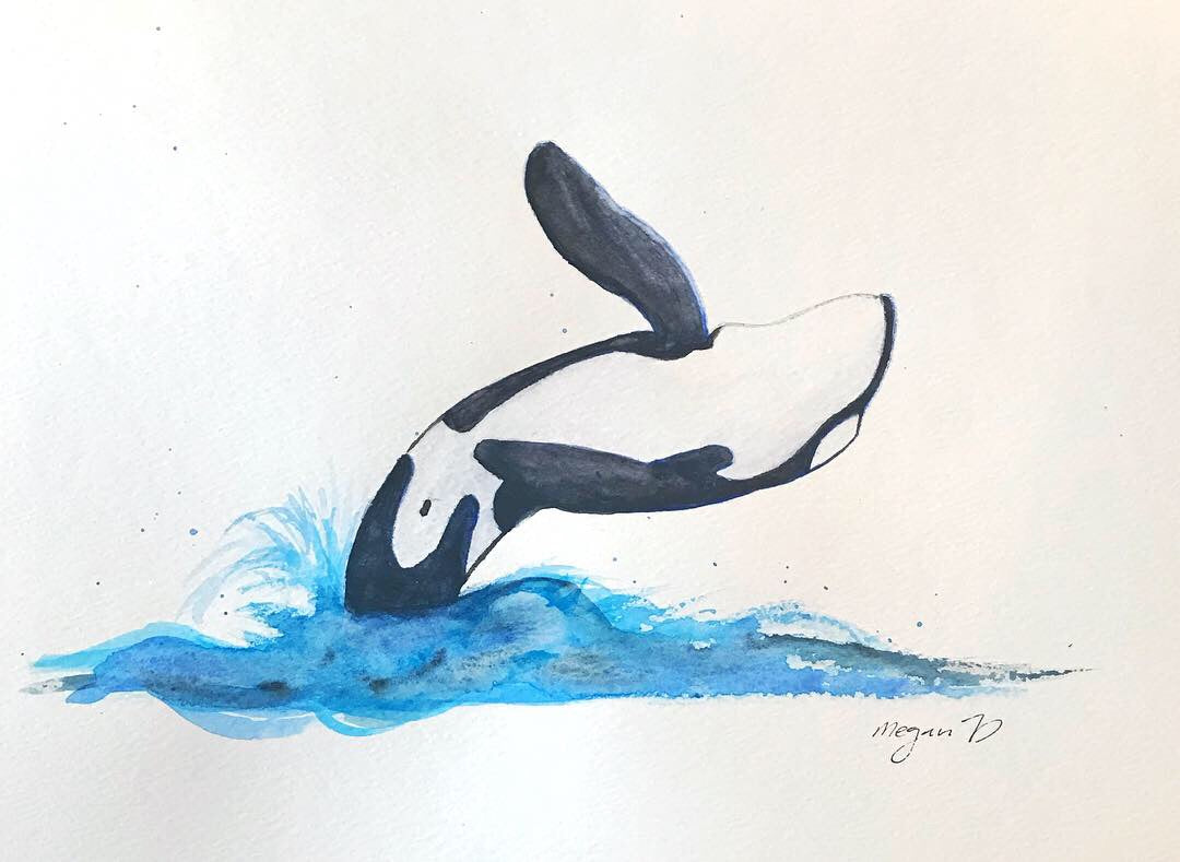 Killer Whale