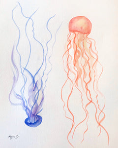 Sea Jellies