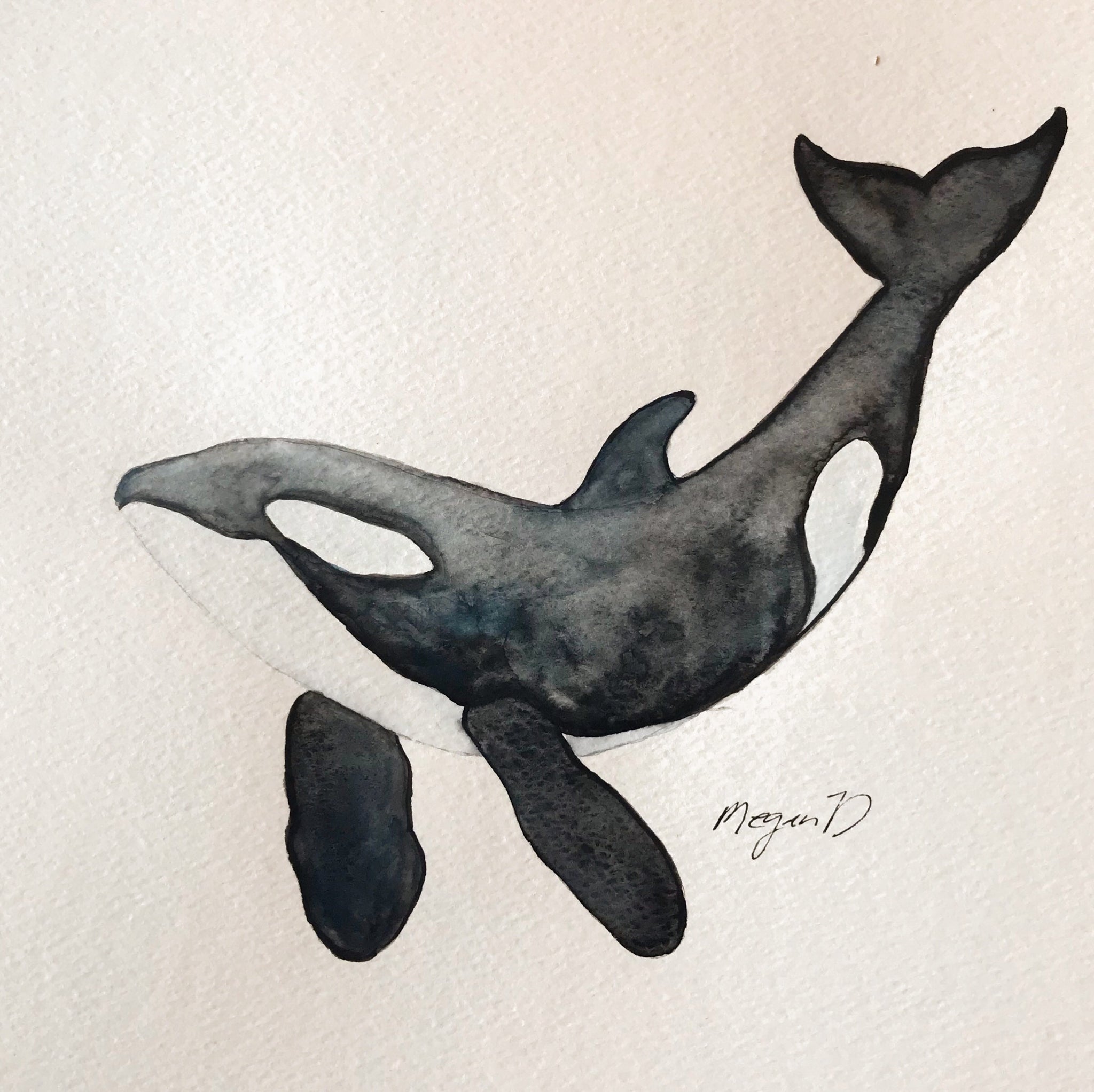 Killer Whale