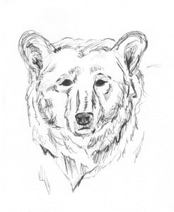 Bear Sketch - Print